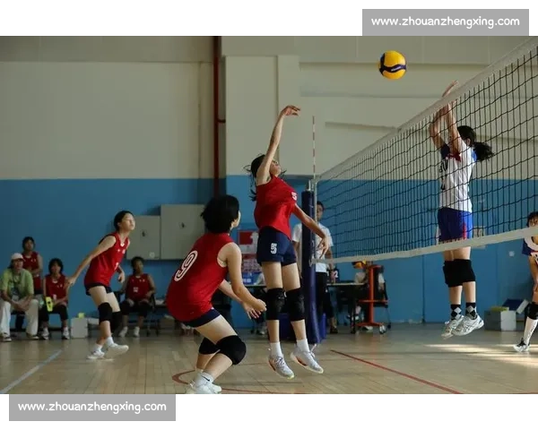 青少年排球赛事亮点，未来之星闪耀，谁将是下一位冠军